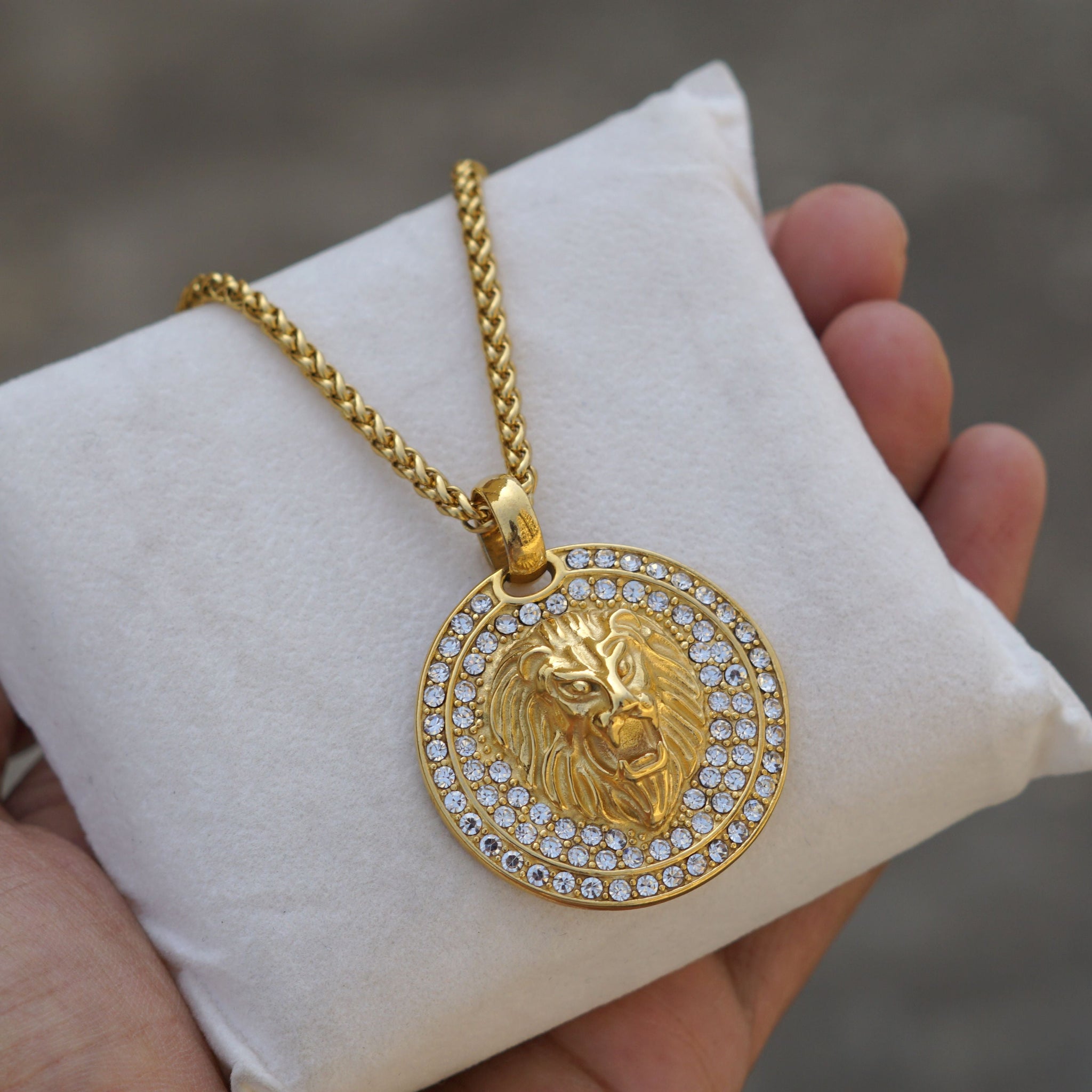 Lion Coin Gold Chain Pendant Set for Men